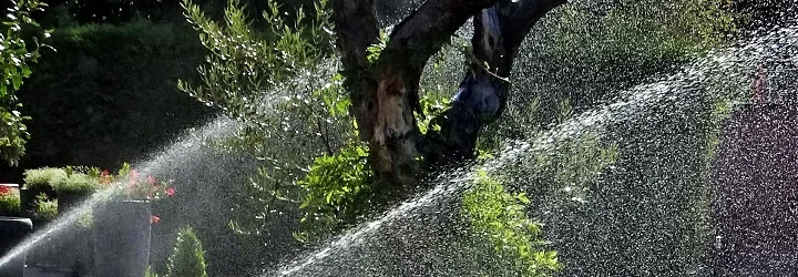 Système d’arrosage automatique en fonctionnement dans un jardin